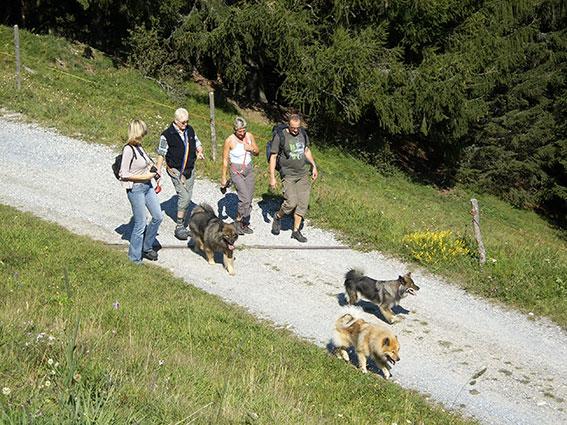 Richtung Heimat.jpg - ... Richtung Heimat